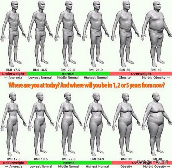 练好马甲线是不是腹肌会更加明显,练马甲线把横向腹肌练出来了咋办