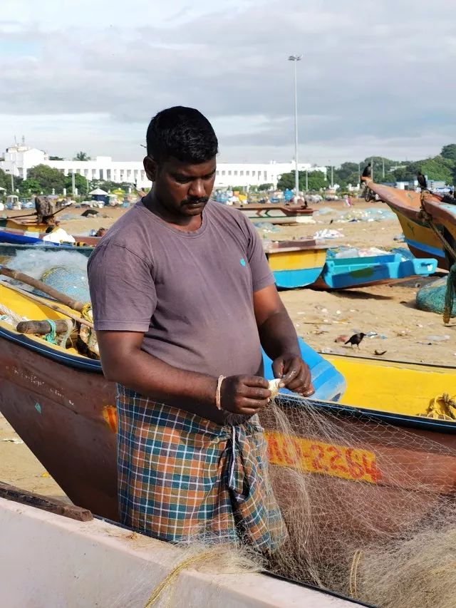 进博会印度今年有什么产品,印度人评进博会带货