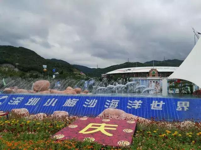 深圳旅游必去十大景点亲子游,深圳龙华旅游必去十大景点