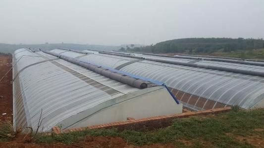温室大棚建造有没有标准,常见的温室大棚有哪些类型