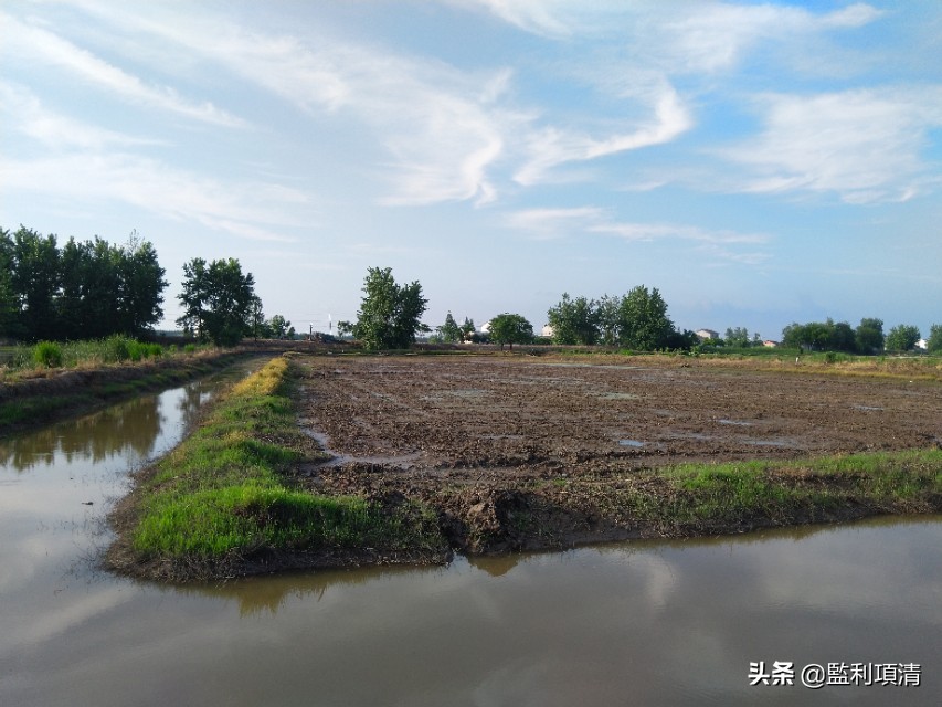 稻田养小龙虾能繁殖吗,一个县百万亩稻田养小龙虾