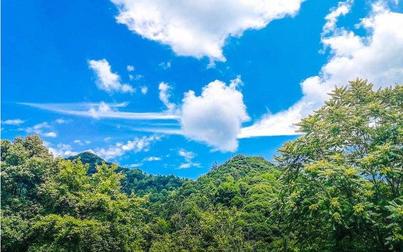 常考词语七种形式汇总,36个常用字大全