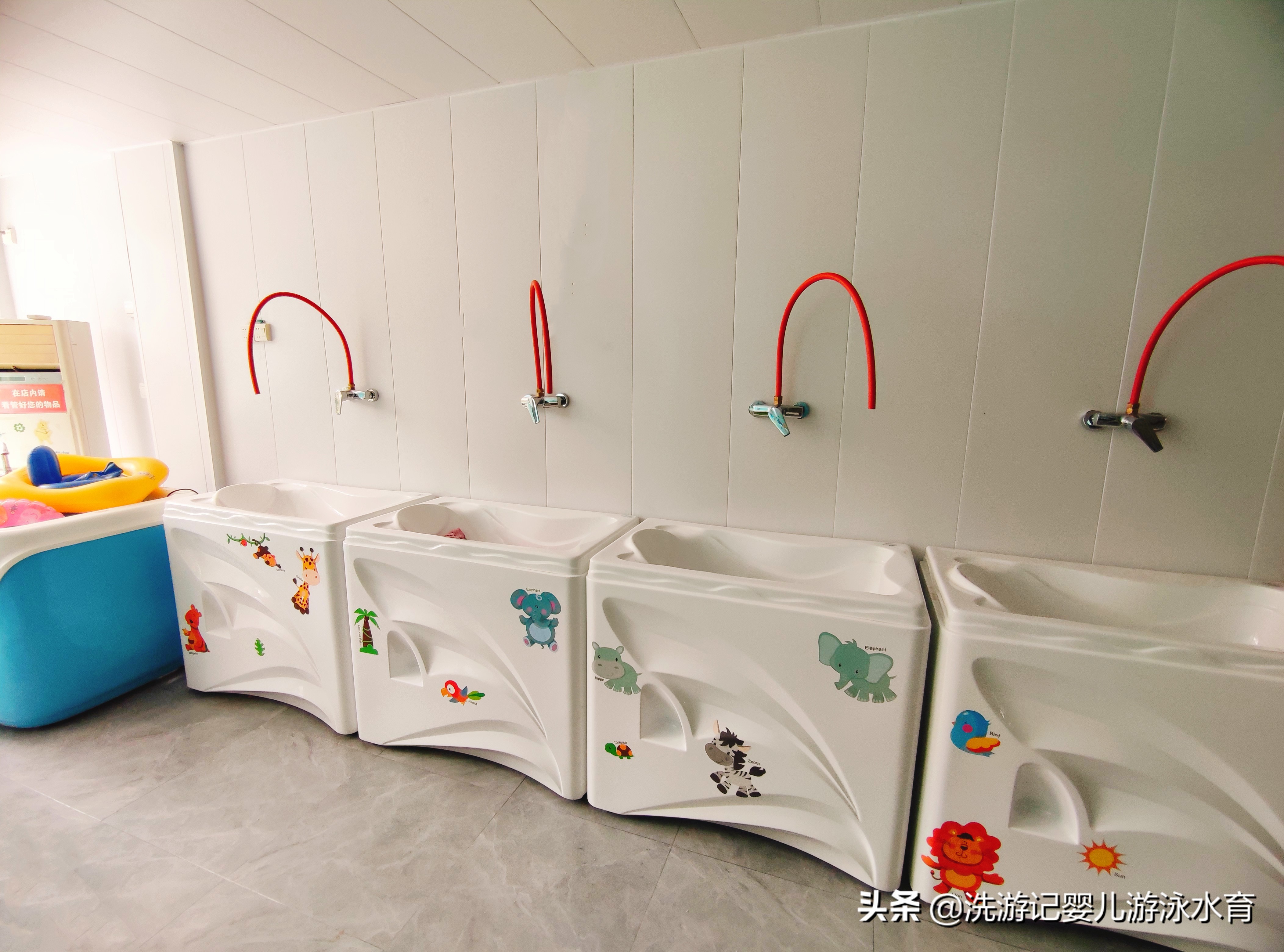 婴幼儿游泳馆加盟条件,想开婴幼儿游泳馆不加盟可以吗