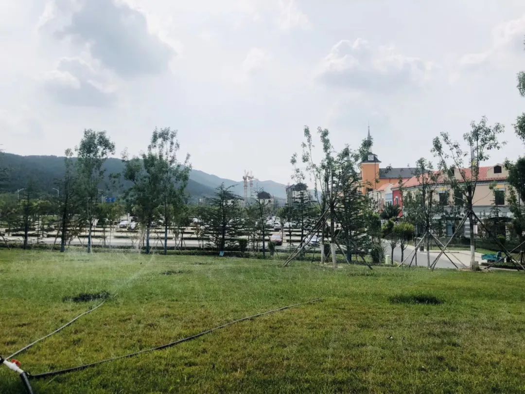 月薪3/4k，不是保险就是销售，济南求职到底怎样？