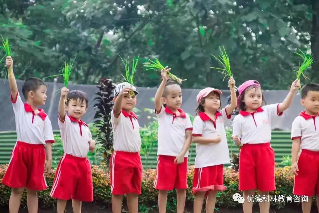 想去泰国当中文老师有什么要求,中国人如何去泰国当中文老师