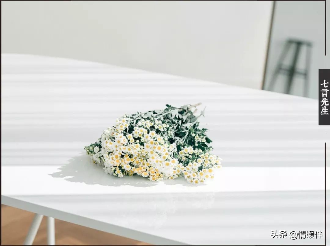 愿意为你服软，愿意看透你的口是心非，愿意陪你看尽烈焰繁花