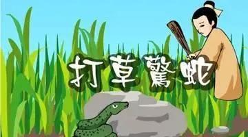 夜钓遇到毒蛇被咬,养毒蛇怎样防止被咬