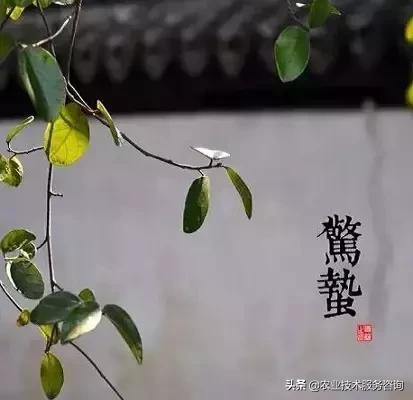 农事节气谚语,农事歌大全