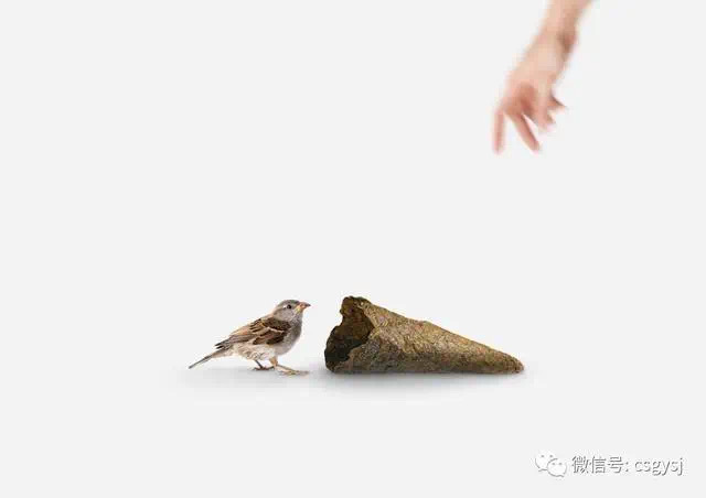 环保化妆品包装设计案例,100个顶级创意包装设计