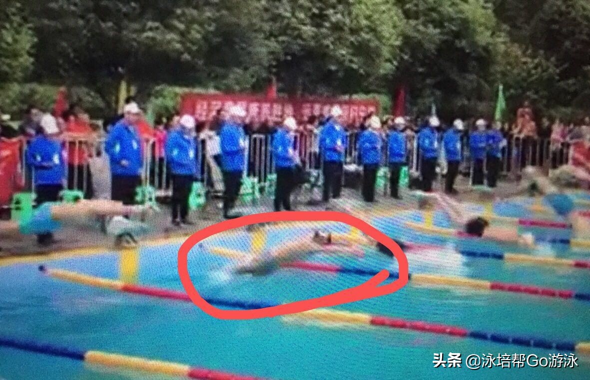 游泳零基础入门教学,游泳零基础入门教学全部