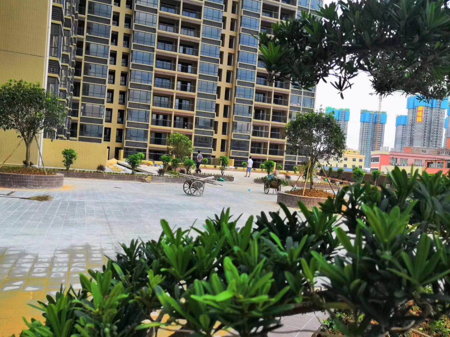 松山湖中心花园,大朗松山湖房价