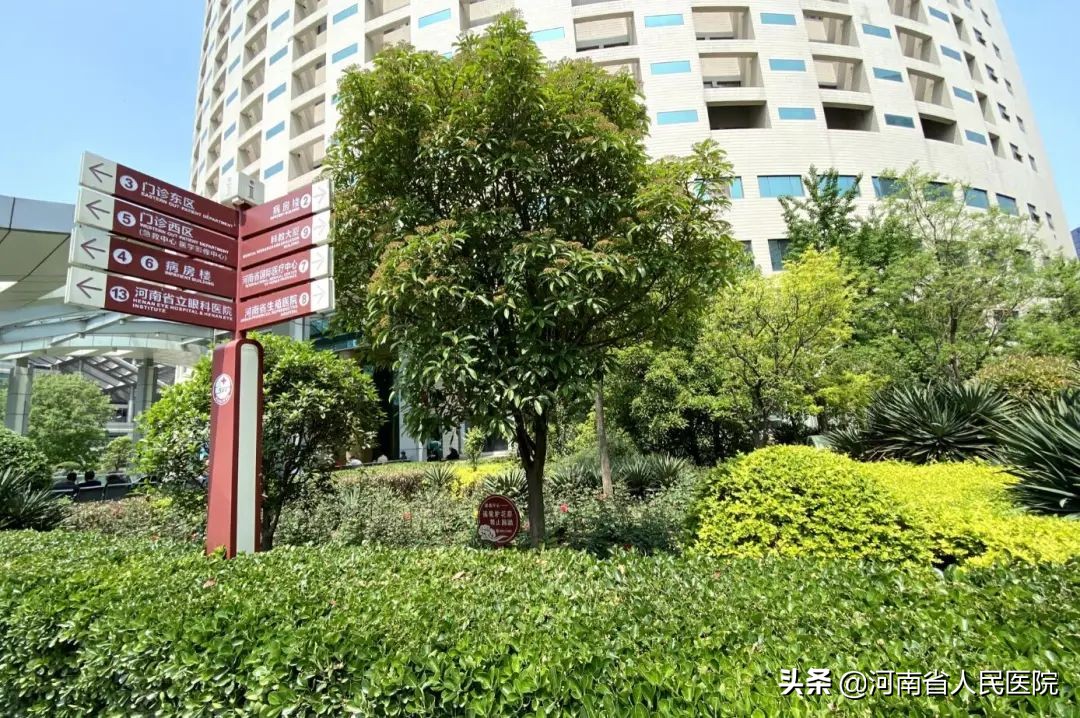 怎么防止肾功能衰竭,肾功能衰竭预防