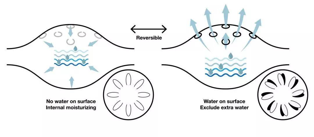 世界设计大奖案例,德国if设计大奖著名作品