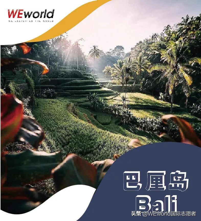 WEworld全球体验官招募|4大志愿者项目0元出发