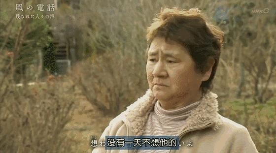 日本高分纪录片免费观看,日本的高分纪录片