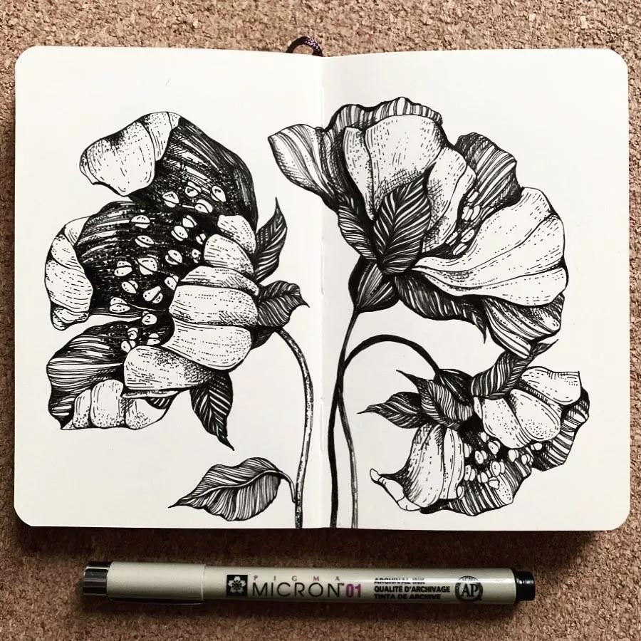 一看就懂的针管简笔画,针管笔入门手绘1000例临摹图