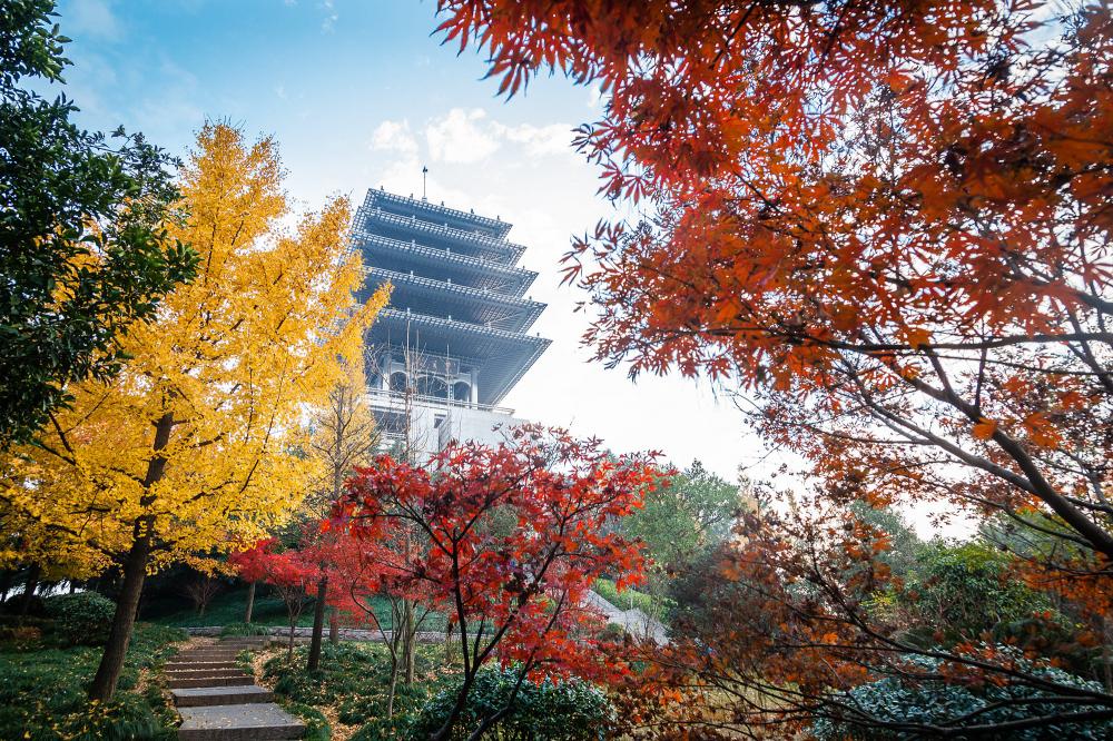 厉害了，余杭！杭州云城、400米高楼、浙一总部...