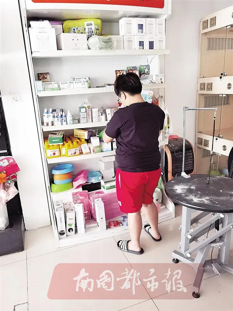 揭秘宠物医院行业内幕,细思极恐兽医