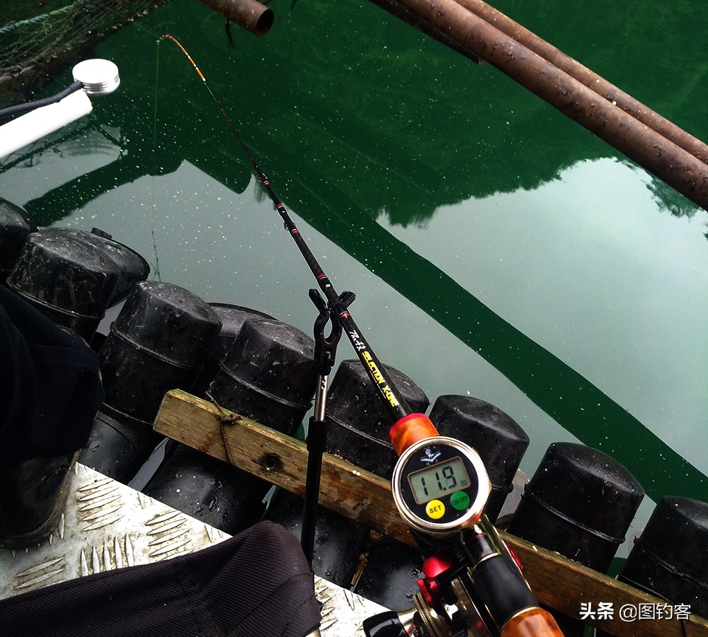 鱼线知识详解钓鱼人必看,初学钓鱼如何选择鱼线