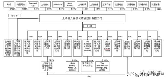 丽人丽妆上市定位分析,丽人丽妆近两年的盈利情况
