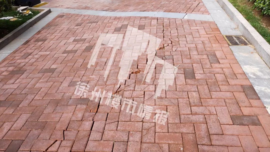 半年涨了几十万！这个小区业主真幸福