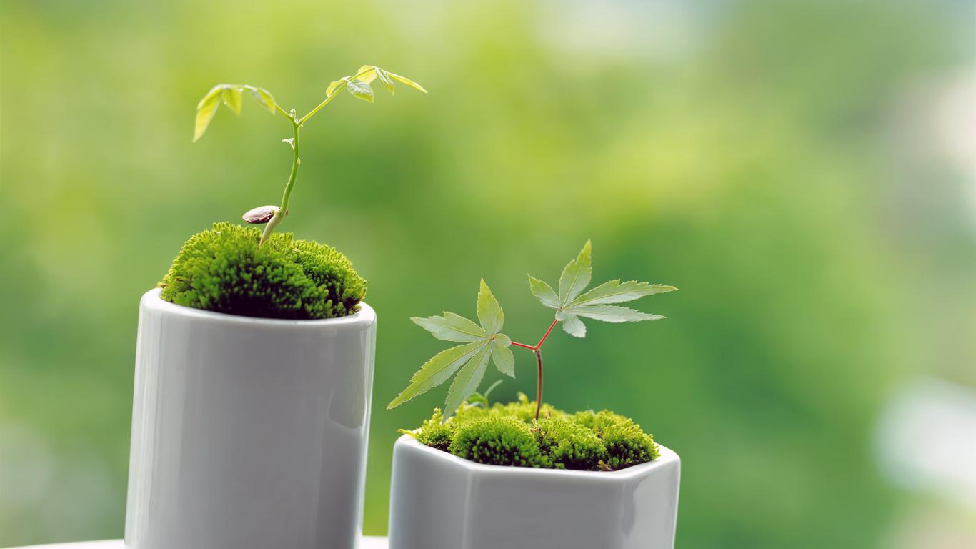 自古评论出人才，30个网易云热评送给你，每一首歌都是一个故事