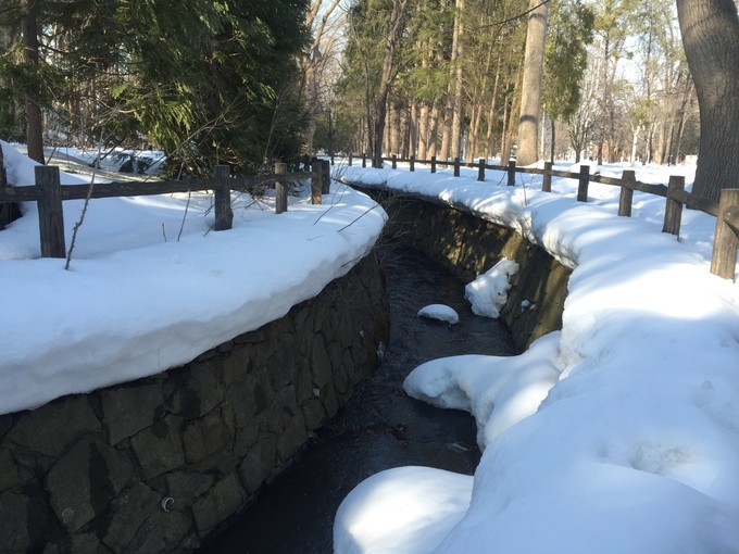 0语言，onepeople，日本北海道冬季往返8日自由行干货