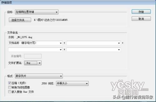 cameraraw曲线详解教程,鹏凰视界cameraraw系列教程