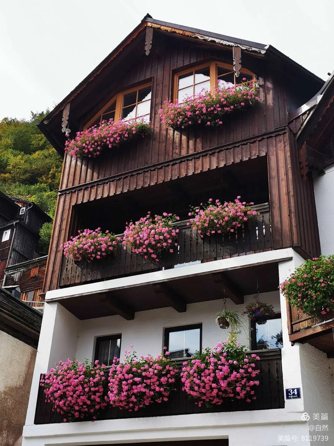 东北花园四季开花植物,北方一年四季都开花的花园