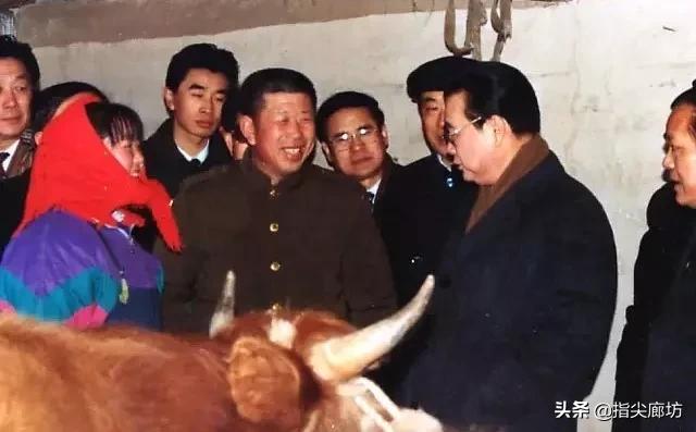 廊坊最富的人排名,2009河北廊坊最有钱的人排名