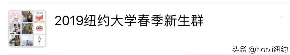 纽约最全群信息总揽｜指南在手，世界我有