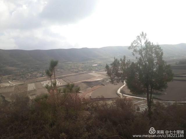 大美汨罗我的家,大美宝丰我的家