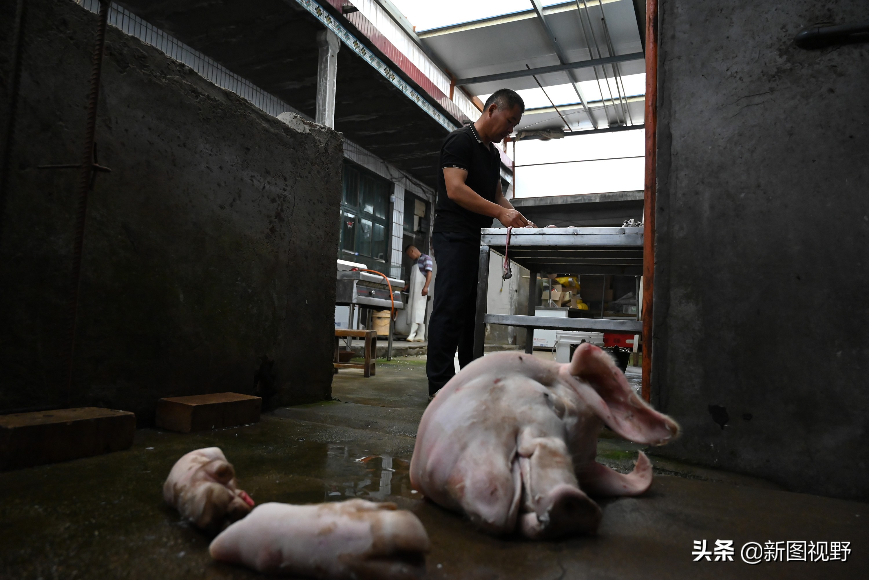 猪价下跌,夫妻“烤全猪”停烤2年后开烤,200斤烤肉出炉就卖光