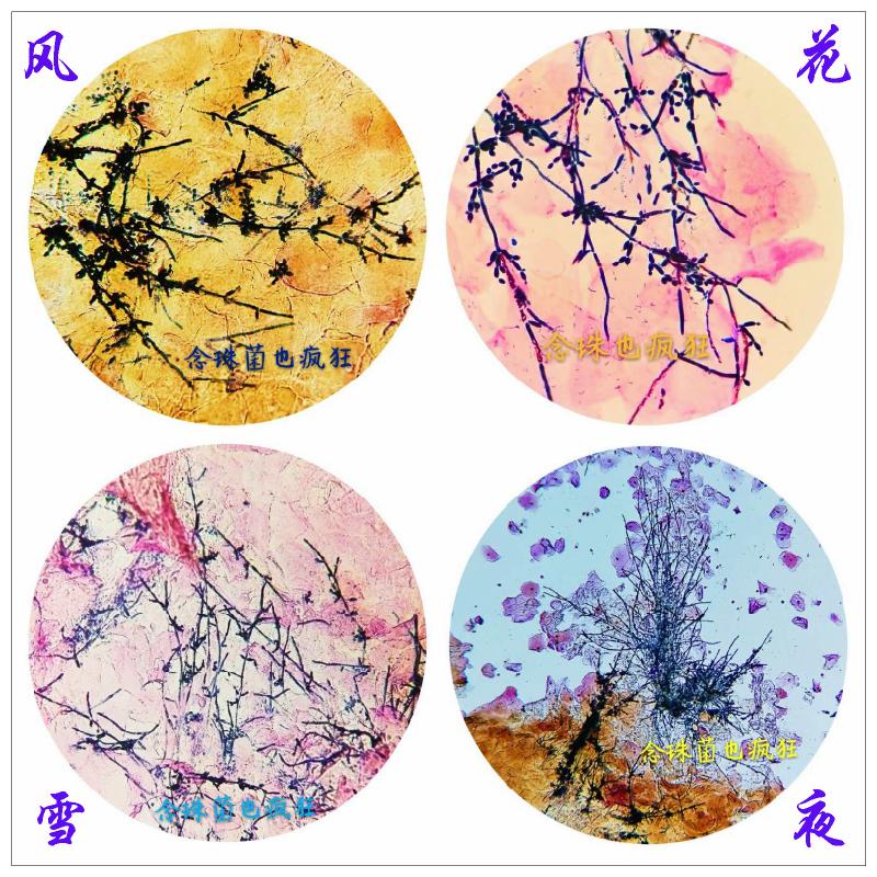 风花雪夜的故事简短,风花雪夜如何解释