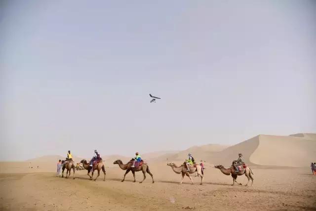 她的美是你无法企及的,她的美是不可方物的美