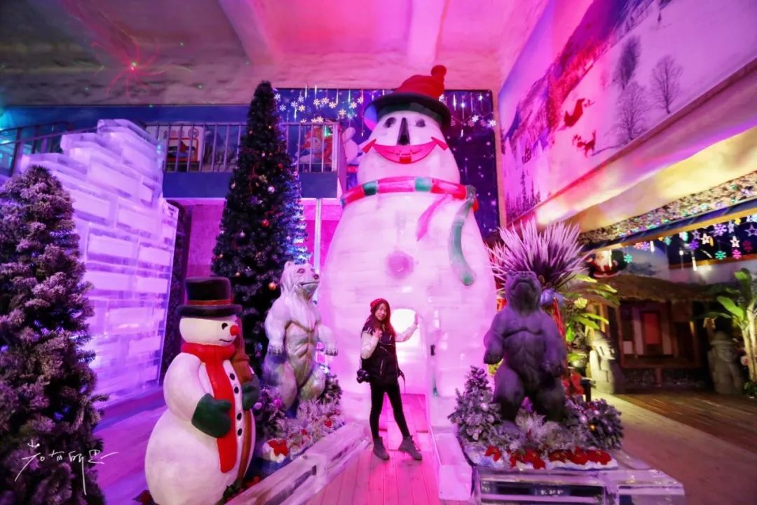 济州岛应该冬天去还是夏天去,冬日济州岛怎么玩