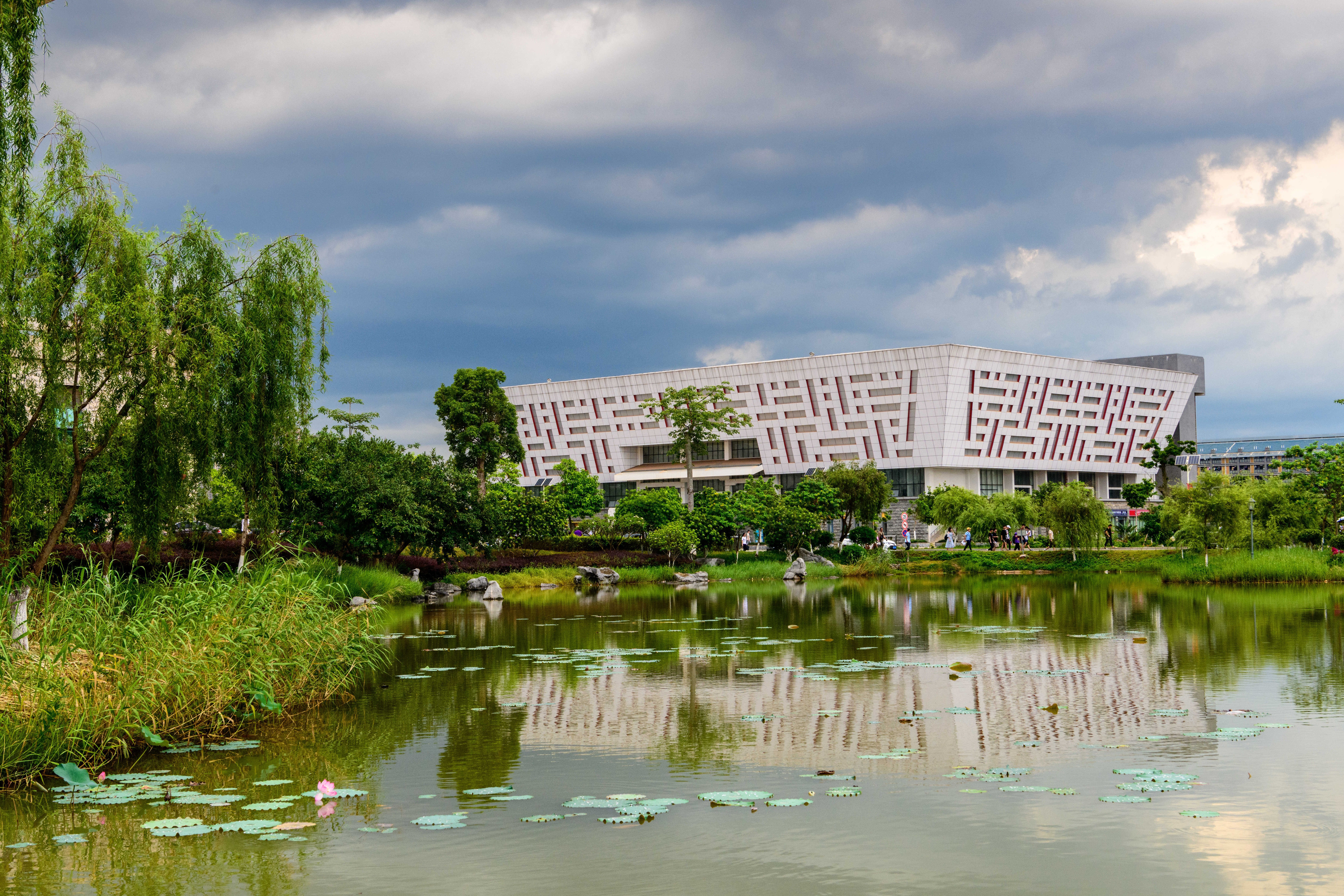 最新出炉:2021年广西民办大学排名!南宁学院领跑