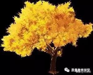 品质高、成本低、交期快，这么干才行！