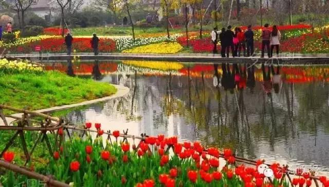 南通2024年免费开放景区,南通旅游景点什么时候可以免门票