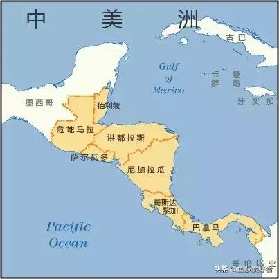 苏里南北海鱼胶和委内瑞拉鱼胶,北海公鱼胶好还是北海母鱼胶好