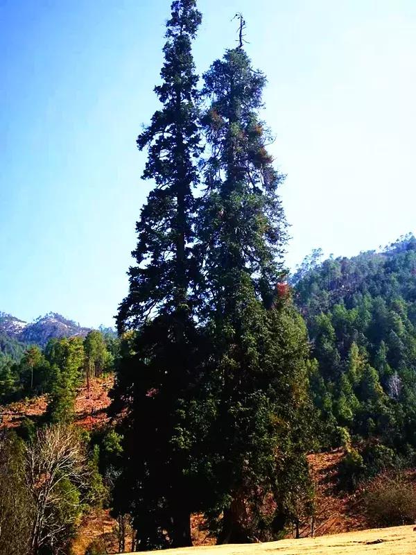 去兰坪旅游值得逛的地方,去了一次就喜欢的城市