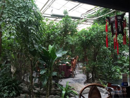 上海周边农家乐旅游推荐,上海周边独栋民宿农家乐推荐