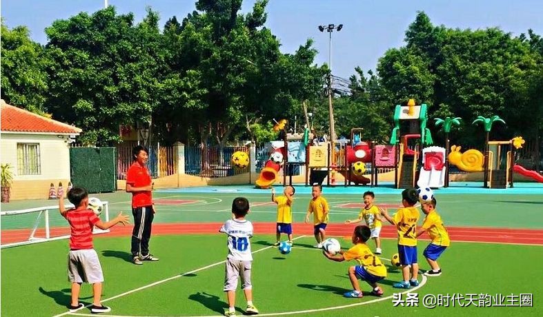 知识城幼儿园,知识城学校