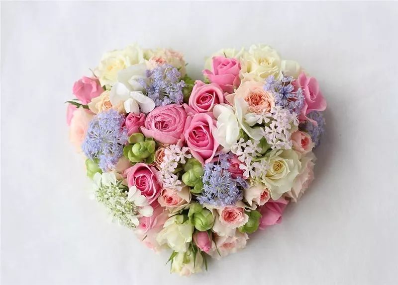 2019真实鲜花图片,2023鲜花爆款图文