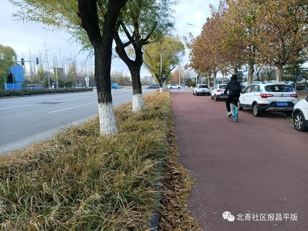 温暖、贴心、便利,初冬时节沙河高教园的新标签