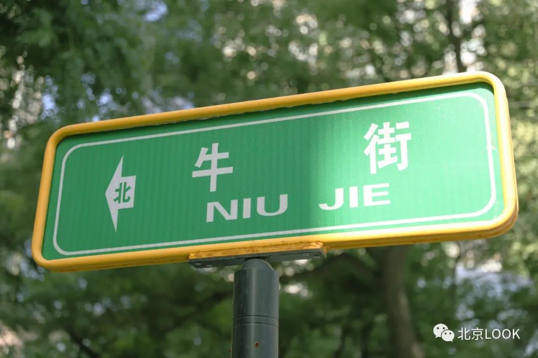 这就是牛完整视频,北京市牛街