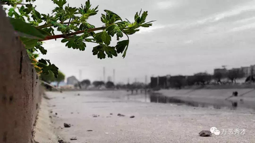 狐狸的尾巴为什么不能摸,狐狸的尾巴很敏感吗