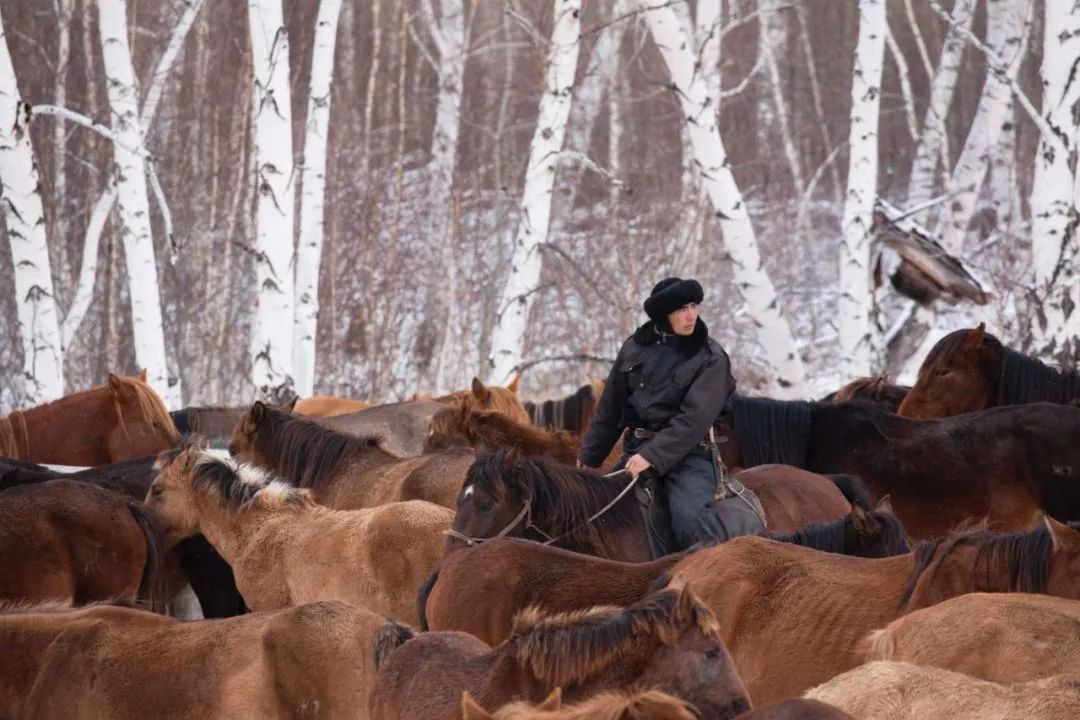 来不及办签证,哪些国家旅游签证比较容易出签