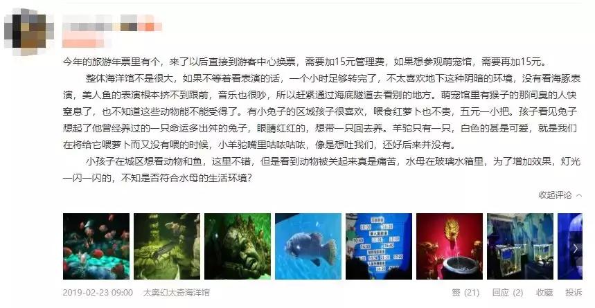 西安三个海洋馆哪个生意好,西安海洋馆推荐哪家