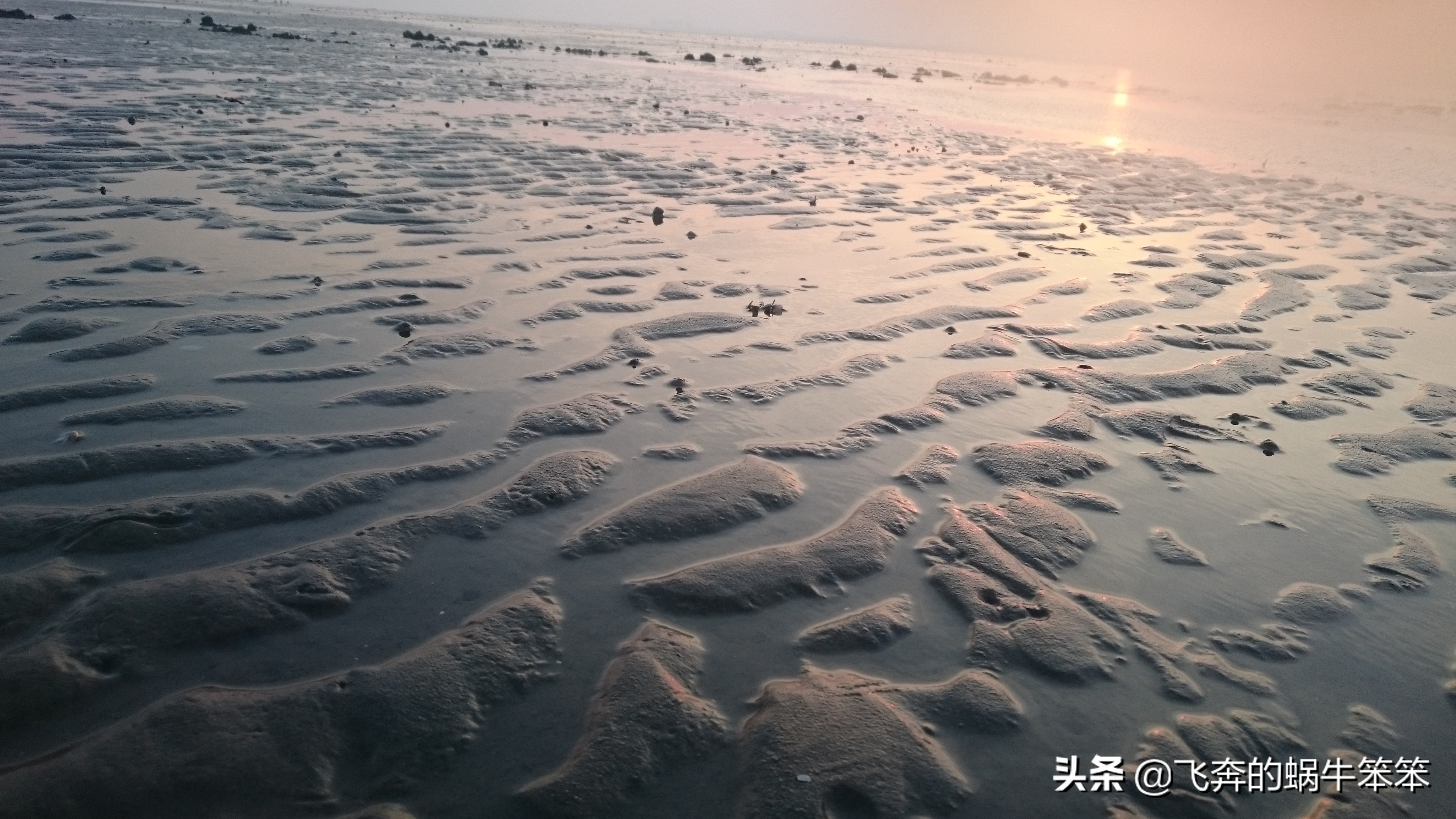 乐亭月岛赶海攻略,赶海看日出